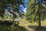An der Grafenalm 
