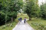 Weg zur Halleinerhütte
Weg zur Halleinerhütte