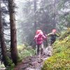 Weg im Hochwald
Weg im Hochwald