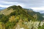 Weg im Hochwald
Weg im Hochwald