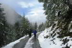 Auf dem Weg nach St.Johann am Walde
