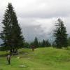 Auf der Blienteckalm
