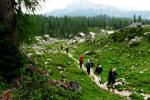 Auf der Wildenseealm
