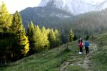 Auf der Eisenaueralm
