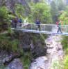 Brcke in der Burgauklamm
