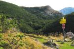 Am Abzweig zum Brunnenkogel
