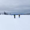 Weg an der Hochspannungsleitung
