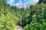Im Kamni�ka Bistrica Tal
