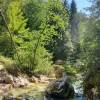 Wanderung an der Kamni�ka Bistrica
