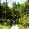 Weg zur Planincev Hütte
