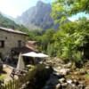 Restaurant in Bulnes
