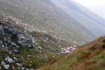 Schafherde am Hang
Schafherde am Hang