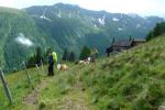An der Klatzachalm
An der Klatzachalm