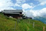An der Bergeralm
An der Bergeralm