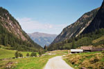 Blick zum Gasthaus Alpenrose
